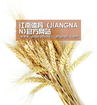 江南体育 (JIANGNAN)官方网站
