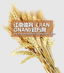 江南体育 (JIANGNAN)官方网站